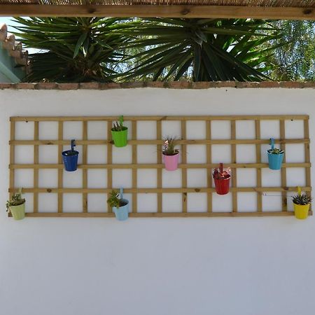 Casa-Estudio Pachamama ซาโฮรา ภายนอก รูปภาพ